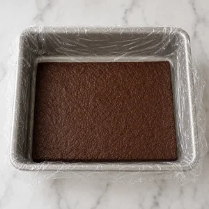 Brownie layer placed in a plastic-wrap-lined pan