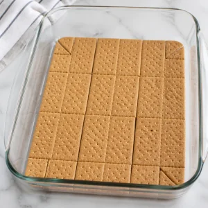 Graham-Cracker auf dem Boden einer Form