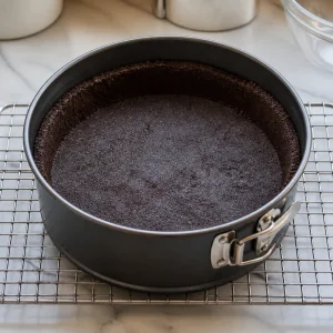 Chocolate crumb crust pressed into a springform pan