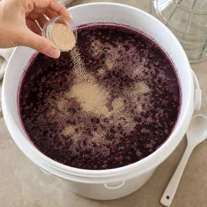 Wine yeast sprinkled over the surface of foamy red grape must