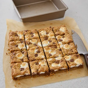 Quadrotti s’mores raffreddati tagliati in sedici porzioni